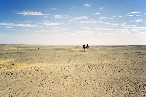http://www.transafrika.org/media/Bilder Niger/tuareg afrika.jpg